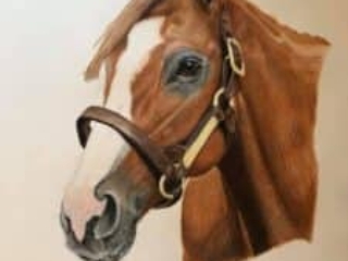Justify, 13th Triple Crown Winner 2018