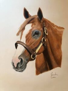 Justify, 13th Triple Crown Winner 2018