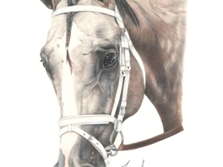 Tapit Trice, 2023 Toyota Blue Grass Stakes