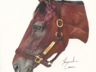 Thorpedo Anna, winner of 2024 Eclipse Award for Horse of the Year